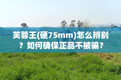 芙蓉王(硬75mm)怎么辨别？如何确保正品不被骗？